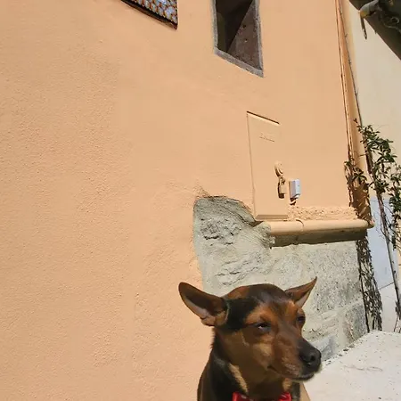 شقة La Reginetta *