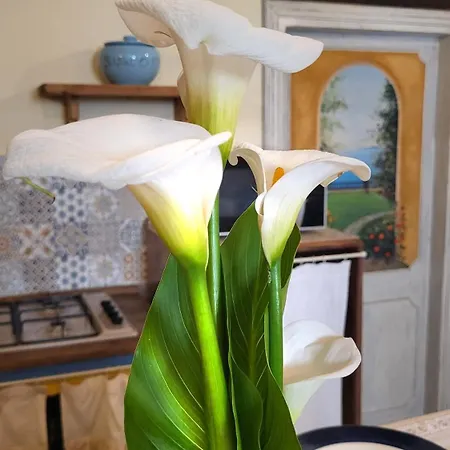 La Reginetta Апартаменты *