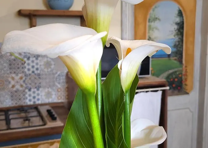 La Reginetta Apartment *